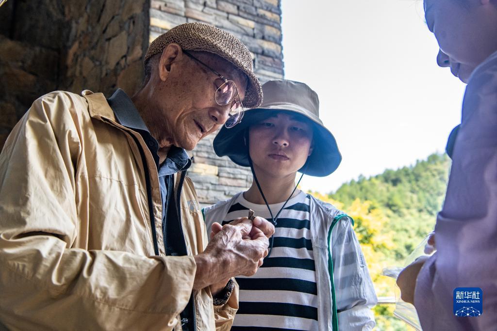二路珠打法研究
